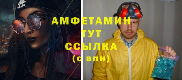 крисы Бронницы