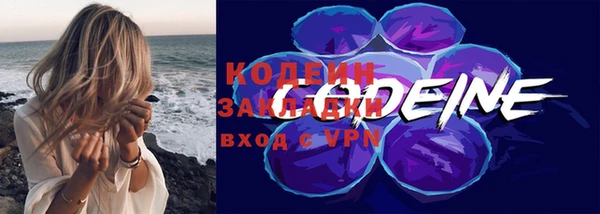 индика Сатка