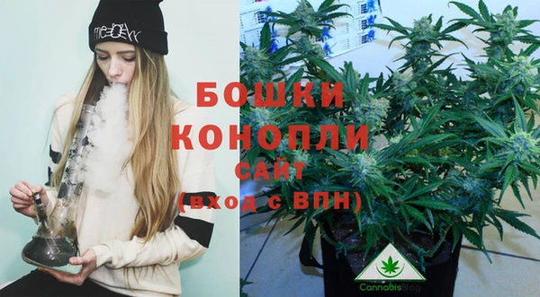 крисы Бронницы