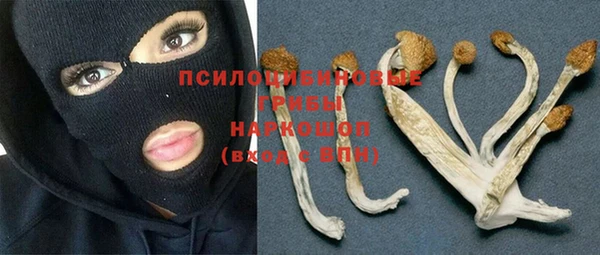 кристаллы Бородино