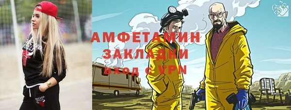 крисы Бронницы