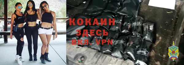 индика Няндома